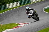 cadwell-no-limits-trackday;cadwell-park;cadwell-park-photographs;cadwell-trackday-photographs;enduro-digital-images;event-digital-images;eventdigitalimages;no-limits-trackdays;peter-wileman-photography;racing-digital-images;trackday-digital-images;trackday-photos